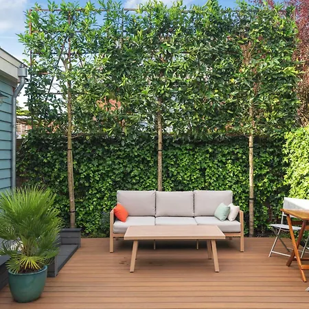 Blue Oasis - Free Parking *